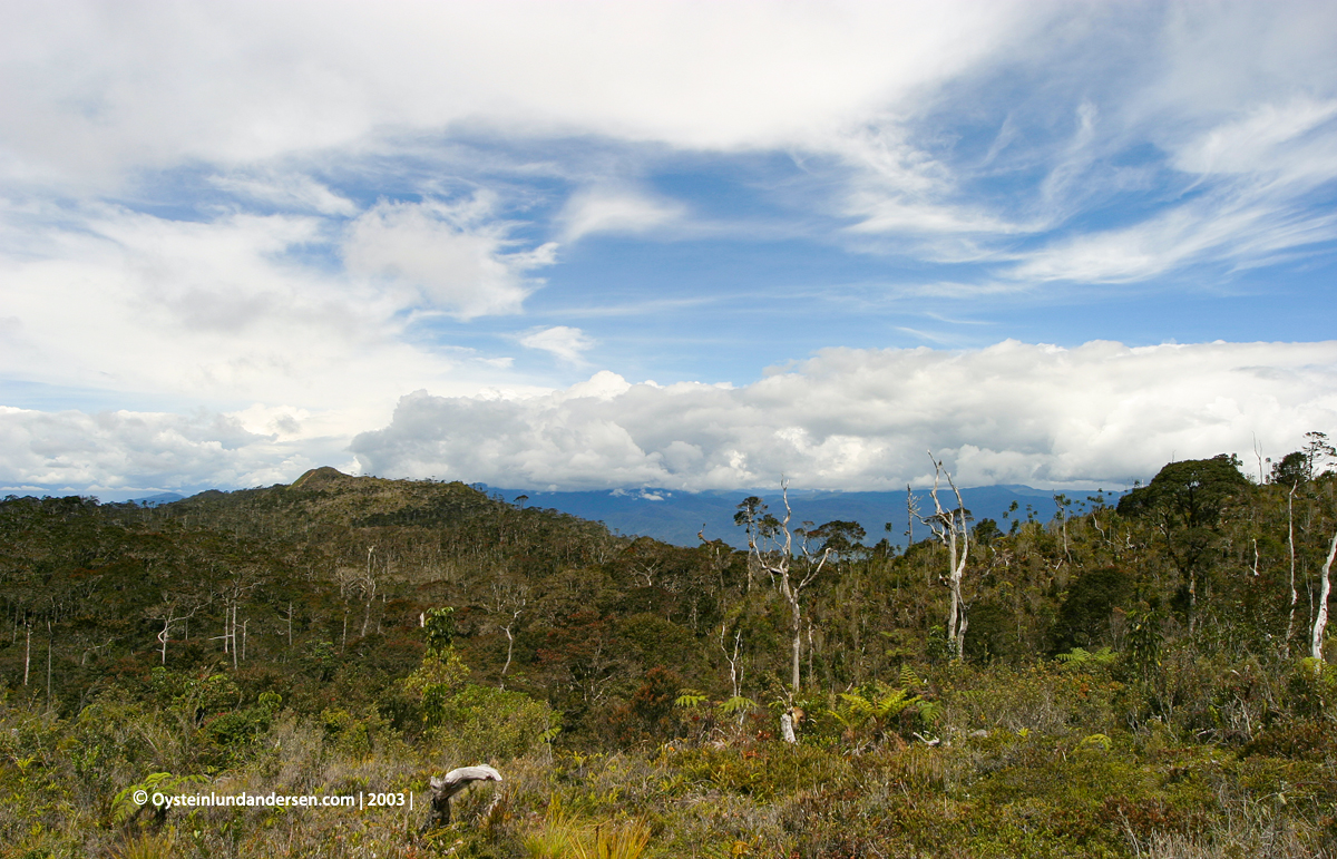 Baliem-valley wamena papua west-papua tribe dani-tribe Yali tribal oceania