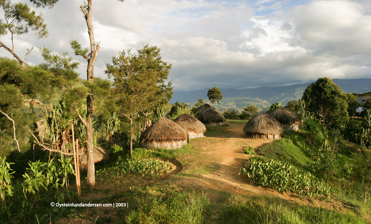 Baliem-valley wamena papua west-papua tribe dani-tribe Yali tribal oceania