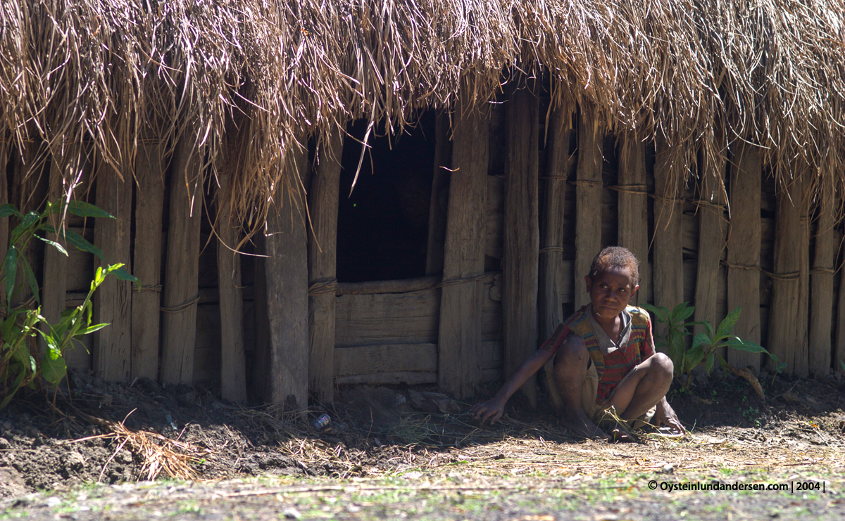 Baliem-valley wamena papua west-papua tribe dani-tribe Yali tribal oceania