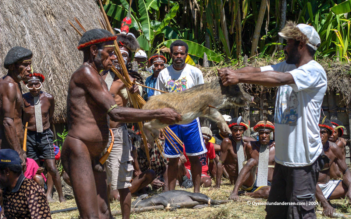 Baliem-valley wamena papua west-papua tribe dani-tribe Yali tribal oceania