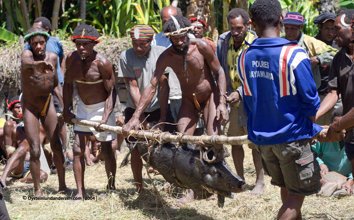 Baliem-valley wamena papua west-papua tribe dani-tribe Yali tribal oceania