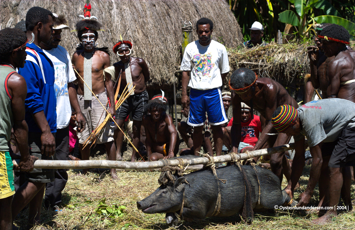 Baliem-valley wamena papua west-papua tribe dani-tribe Yali tribal oceania