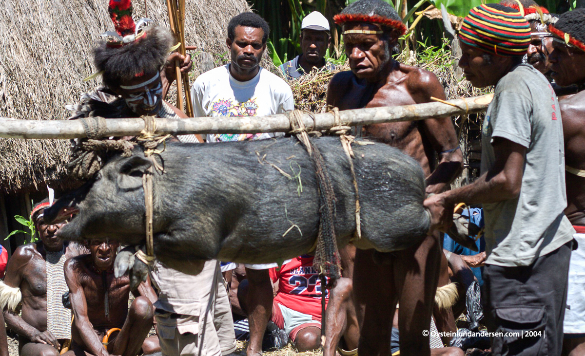 Baliem-valley wamena papua west-papua tribe dani-tribe Yali tribal oceania