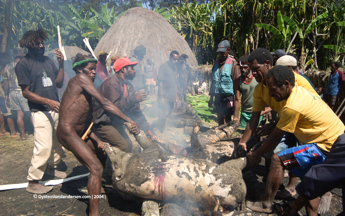 Baliem-valley wamena papua west-papua tribe dani-tribe Yali tribal oceania