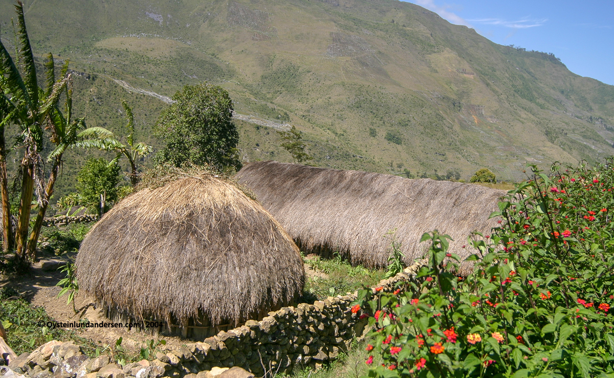 Baliem-valley wamena papua west-papua tribe dani-tribe Yali tribal oceania