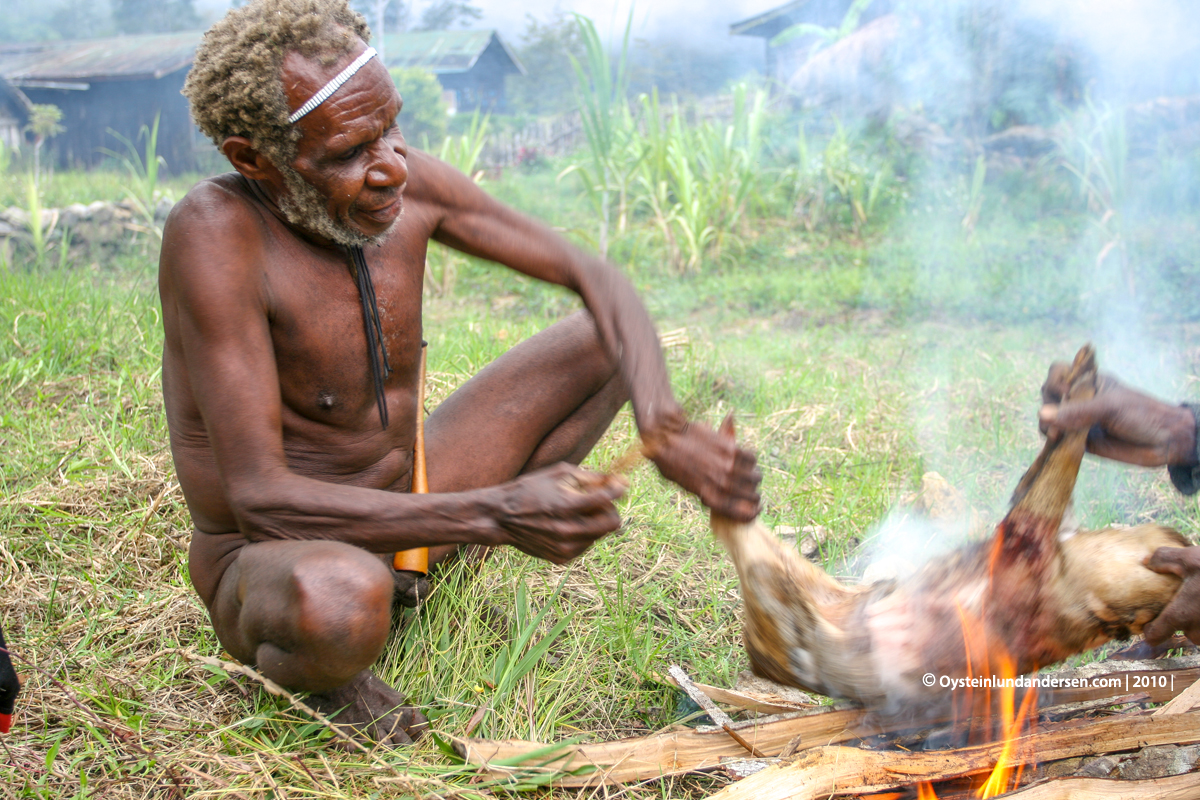 Baliem-valley wamena papua west-papua tribe dani-tribe Yali tribal oceania