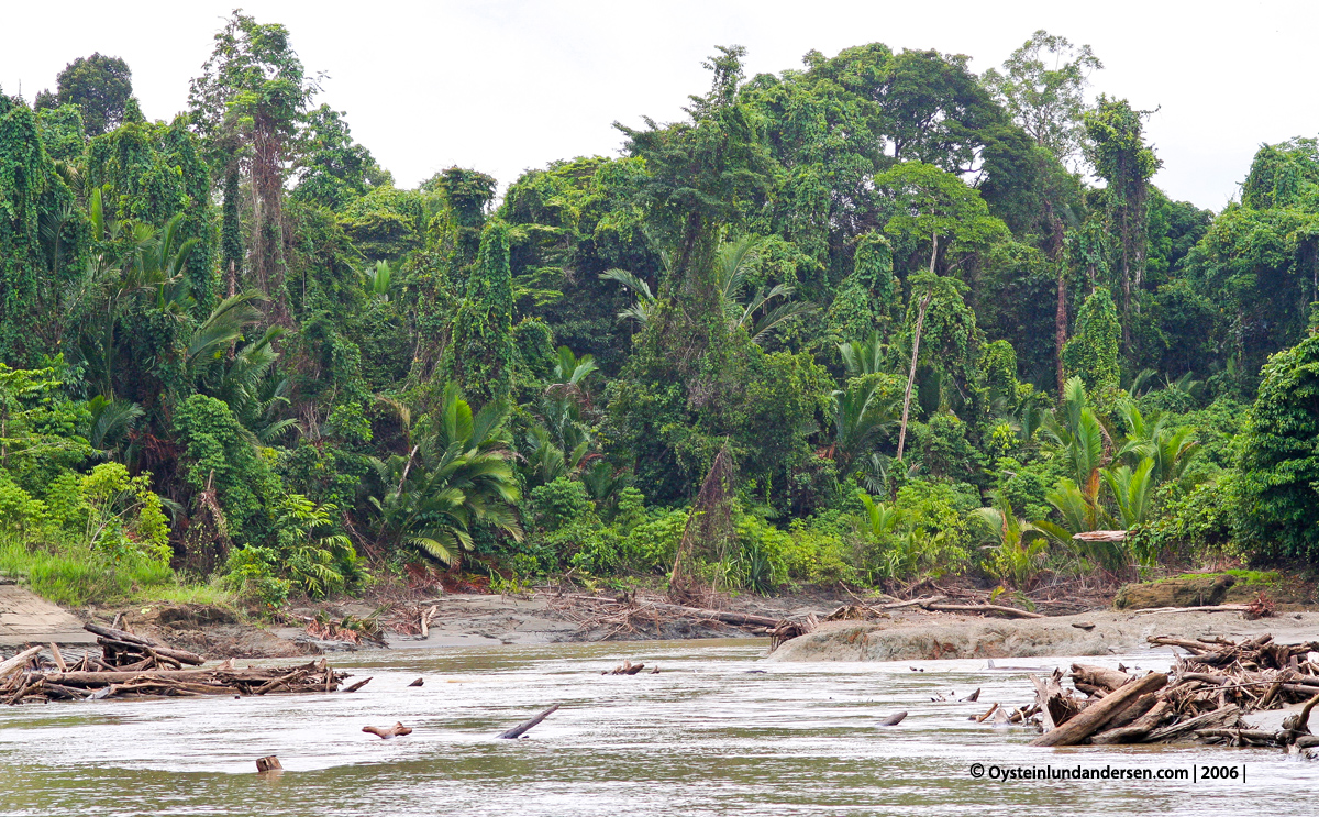 Kaure Aurina Lereh Papua rainforest Nawa-river 2006