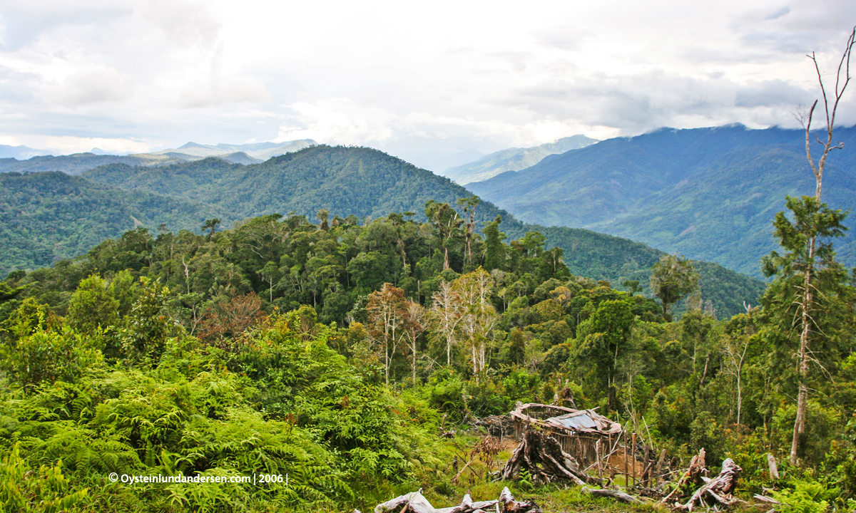 Nongme Urubool Umtambor Sekame Yahukimo 2006 papua west-papua