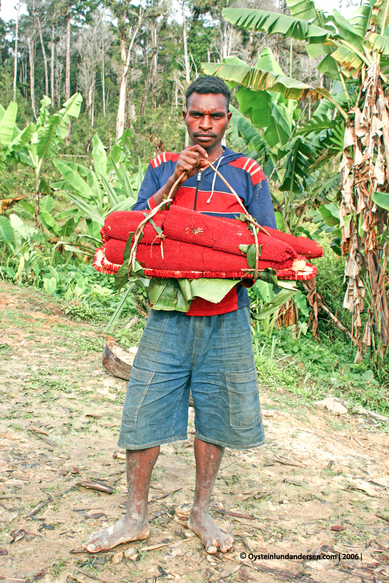 Pandanus Nongme Urubool Umtambor Sekame Yahukimo 2006 papua west-papua