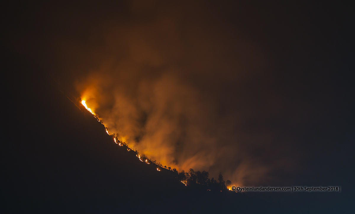 Forest Fire Kebakaran Bromo Indonesia