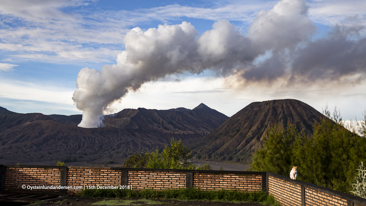 Bromo Volcano 2018 Indonesia gunung-bromo volcano