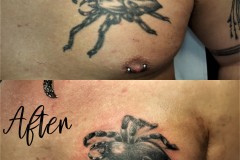 Pimp mein Tattoo - Spinne vorher (nicht von mir) und nachher