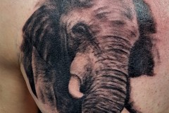 Elefanten Tattoo
