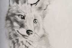 Fuchs