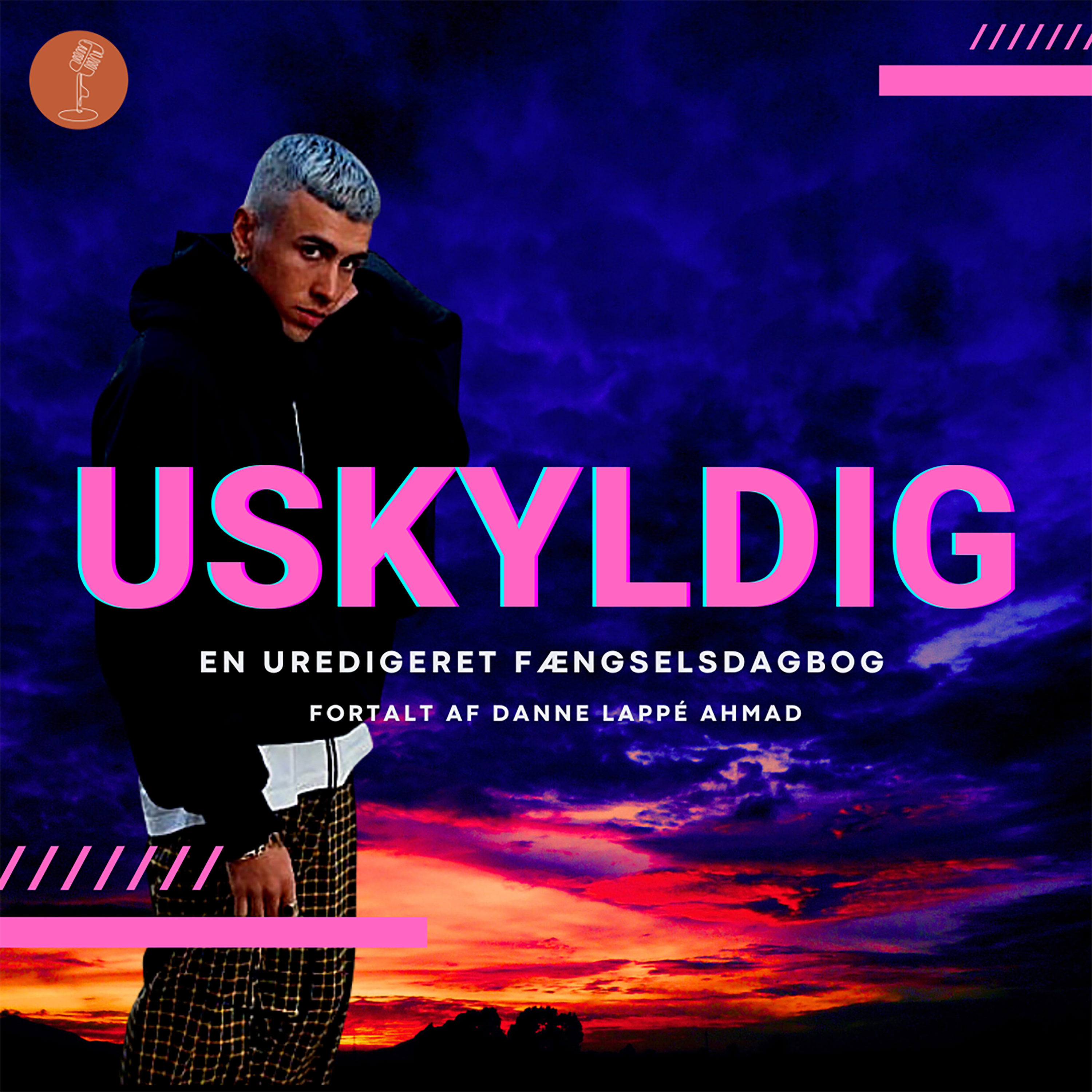 Uskyldig S3 – afsnit 10 / Afslutning af dagbog