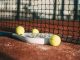 Padelkulturen indtager Danmark