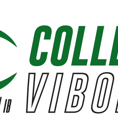 college-Viborg-2