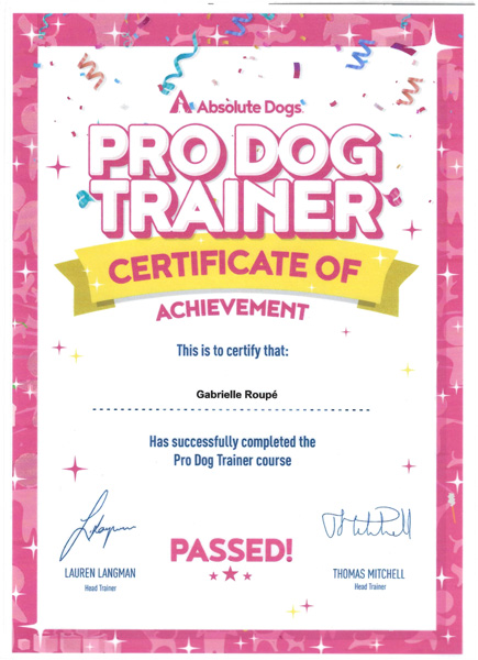 Pro Dog Trainer certifikat hos Absolute Dogs
