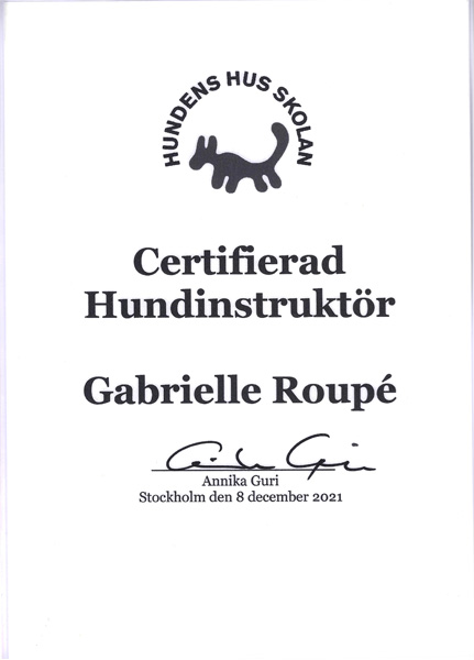 Certifierad Hundinstruktör från Hundens Hus
