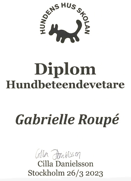 Hundes hus hundbeteendevetare diplom