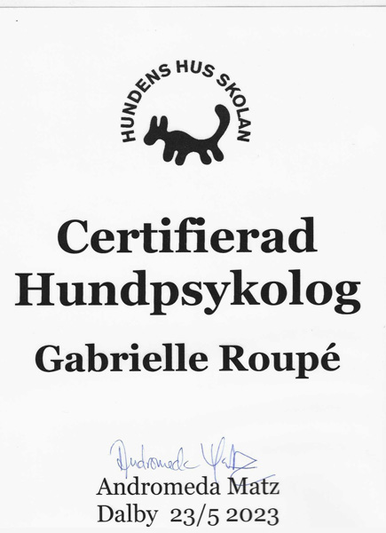 Hundes hus hundpsykolog certifikat