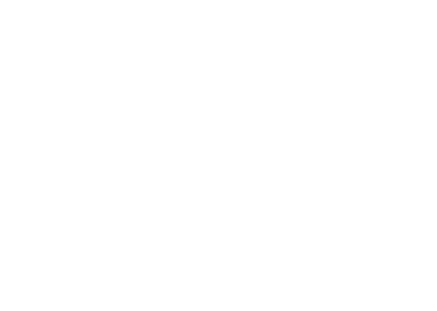 palmeras-logo-white