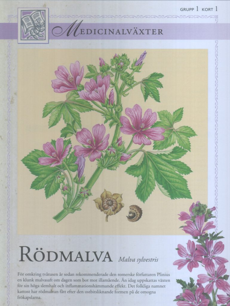 Rödmalva