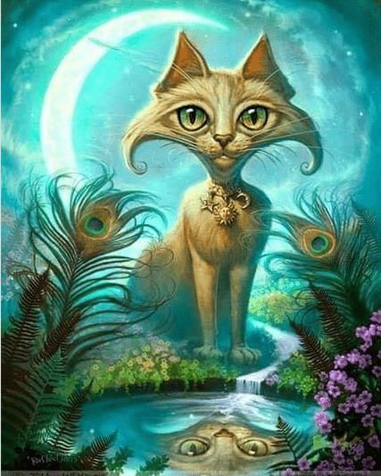 katt