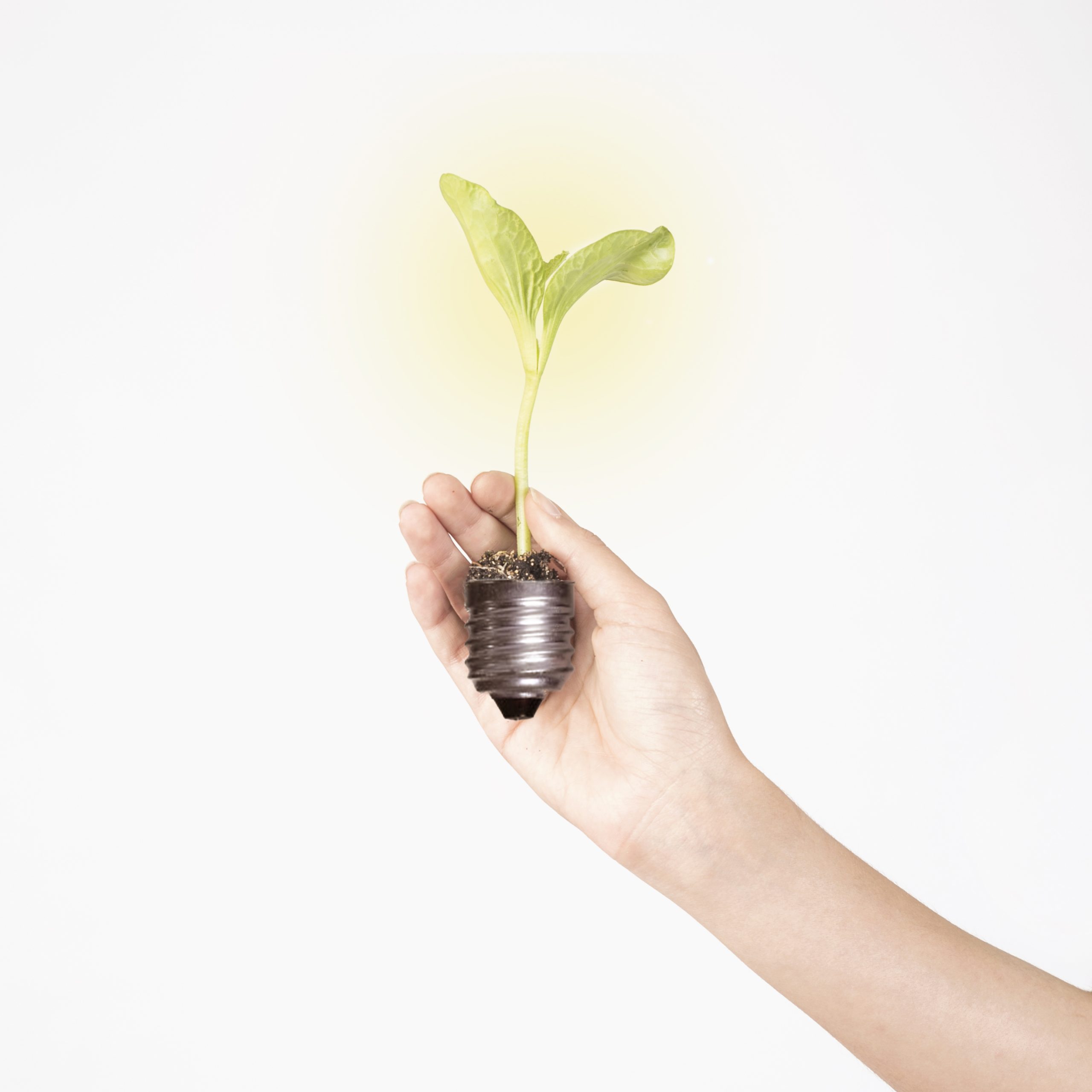 il risparmio nelle bollette energetiche grazie ai pannelli fotovoltaici