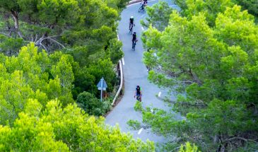 Cykelferie på Mallorca med Papuga