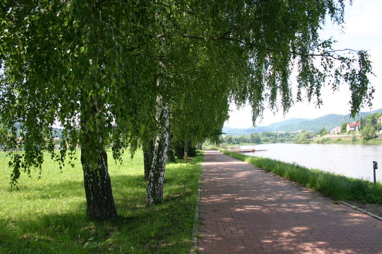 14562812432_a896d04875_c