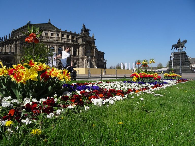 51038199503_6e4f153224_c