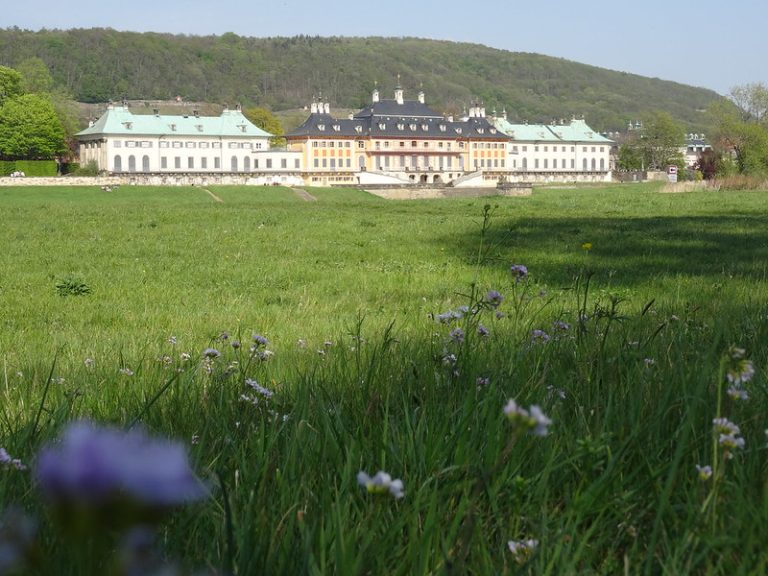 51038930536_680fdc3bb3_c