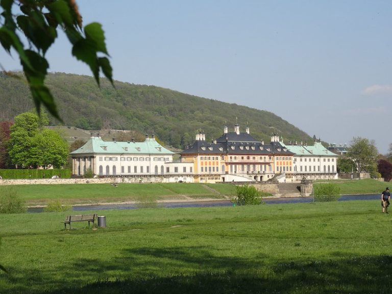 51039026782_013faf503b_c