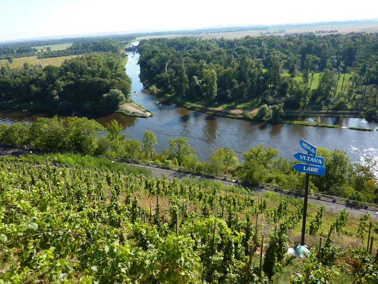 54367888147_ed235281a4_c