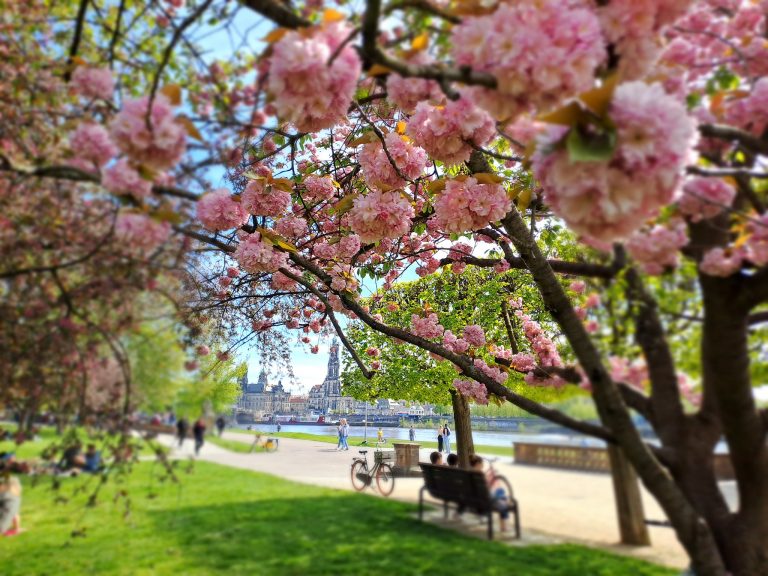 54369001148_00efb24585_k