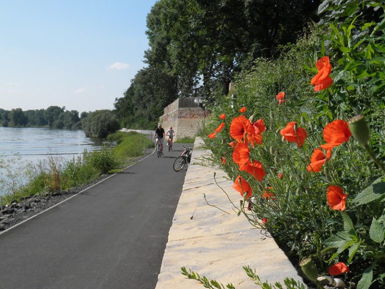 9371705782_7afe331dd7_c