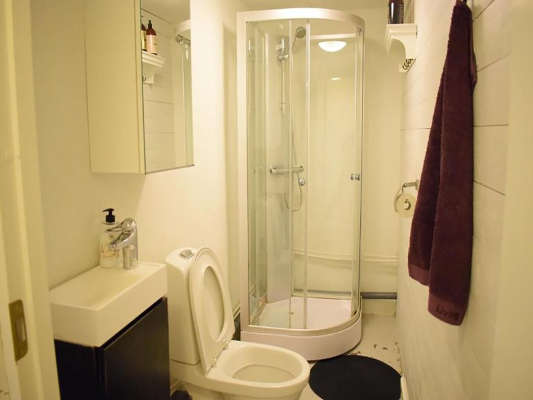 Apartment toilet and shower