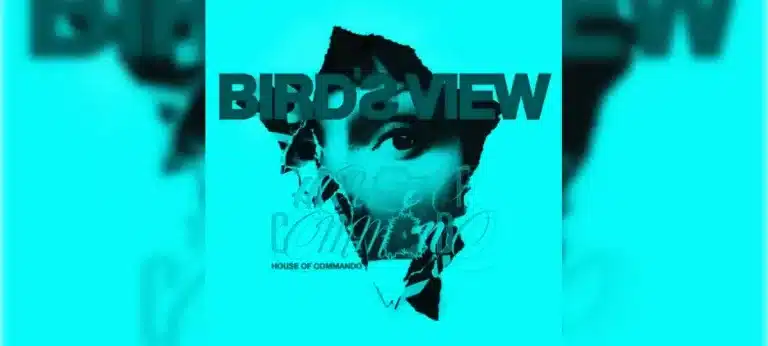 Birds View - House of Commando - Come Back Home