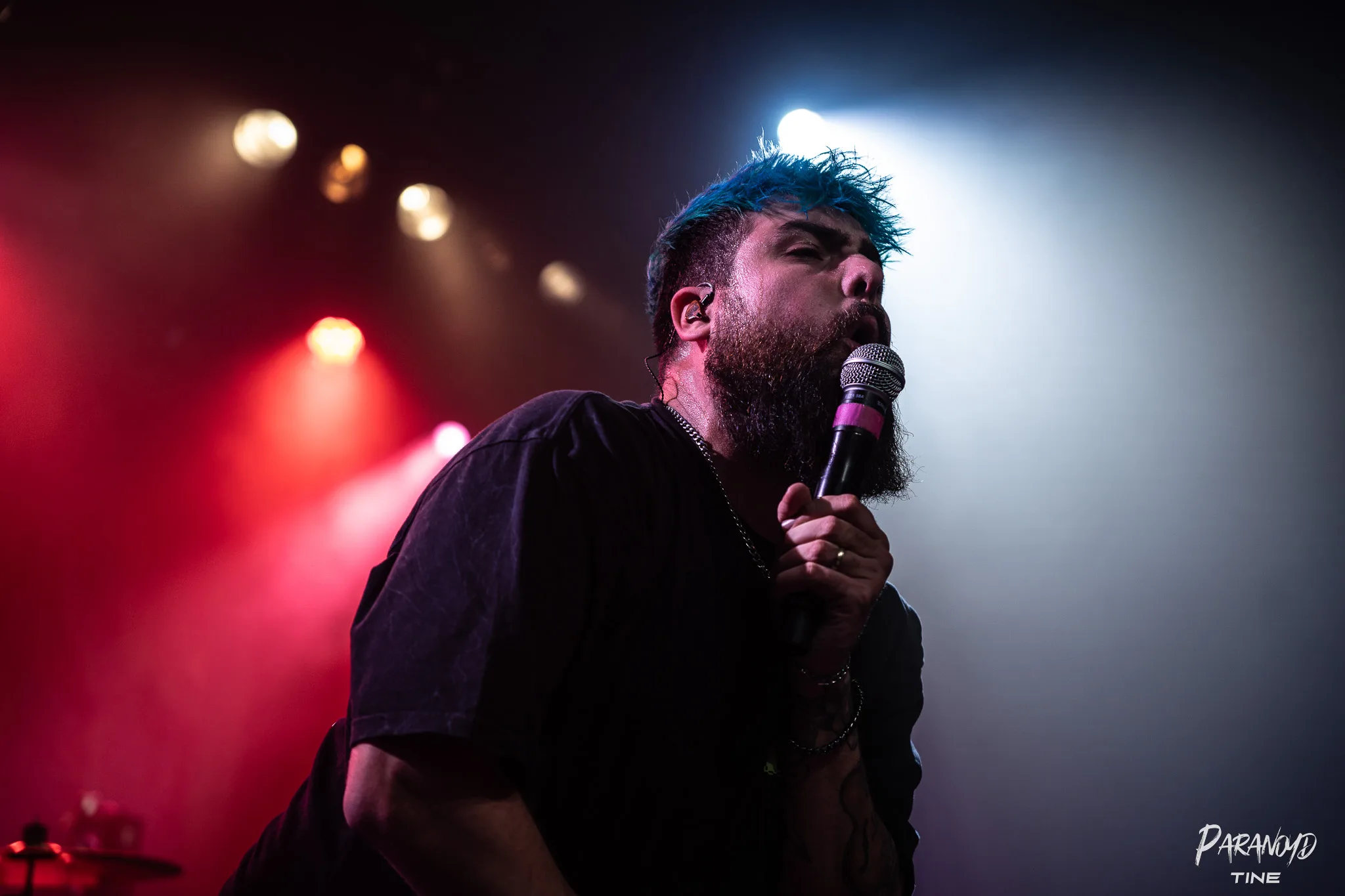 Zebrahead bei der Show im Scheinwerferlicht beim Konzert in Stuttgart © Tine Blessing