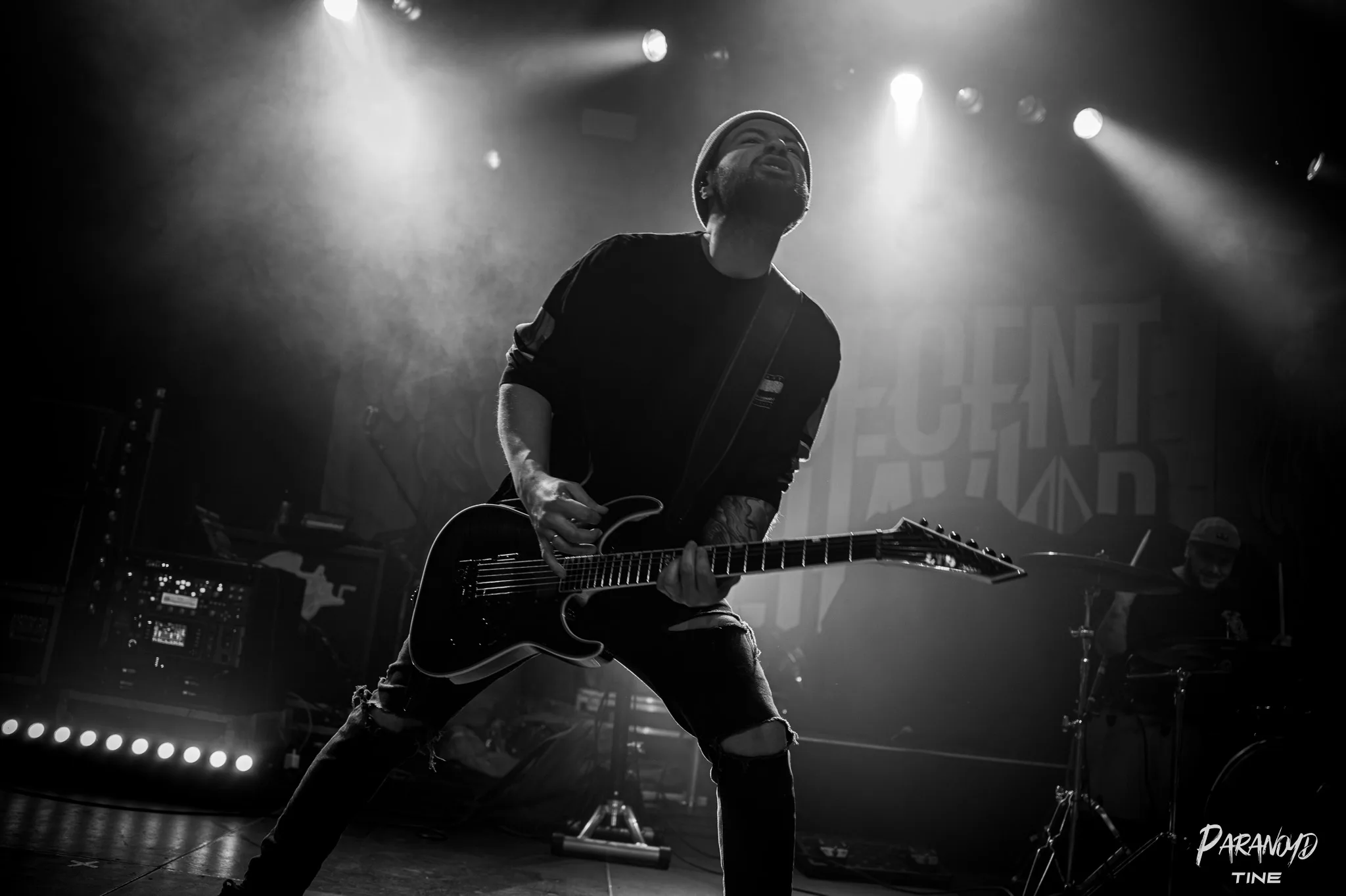 Zebrahead im Scheinwerferlicht beim Konzert in Stuttgart © Tine Blessing