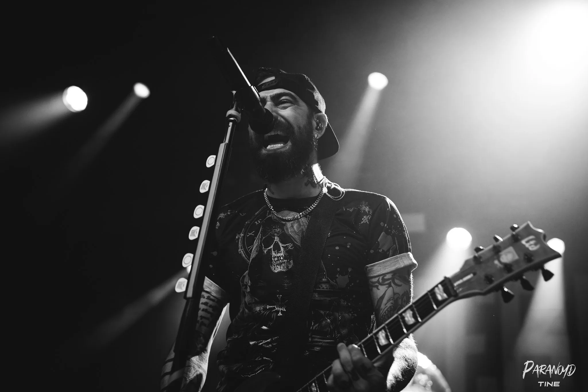 Zebrahead vor begeistertem Publikum beim Konzert in Stuttgart © Tine Blessing