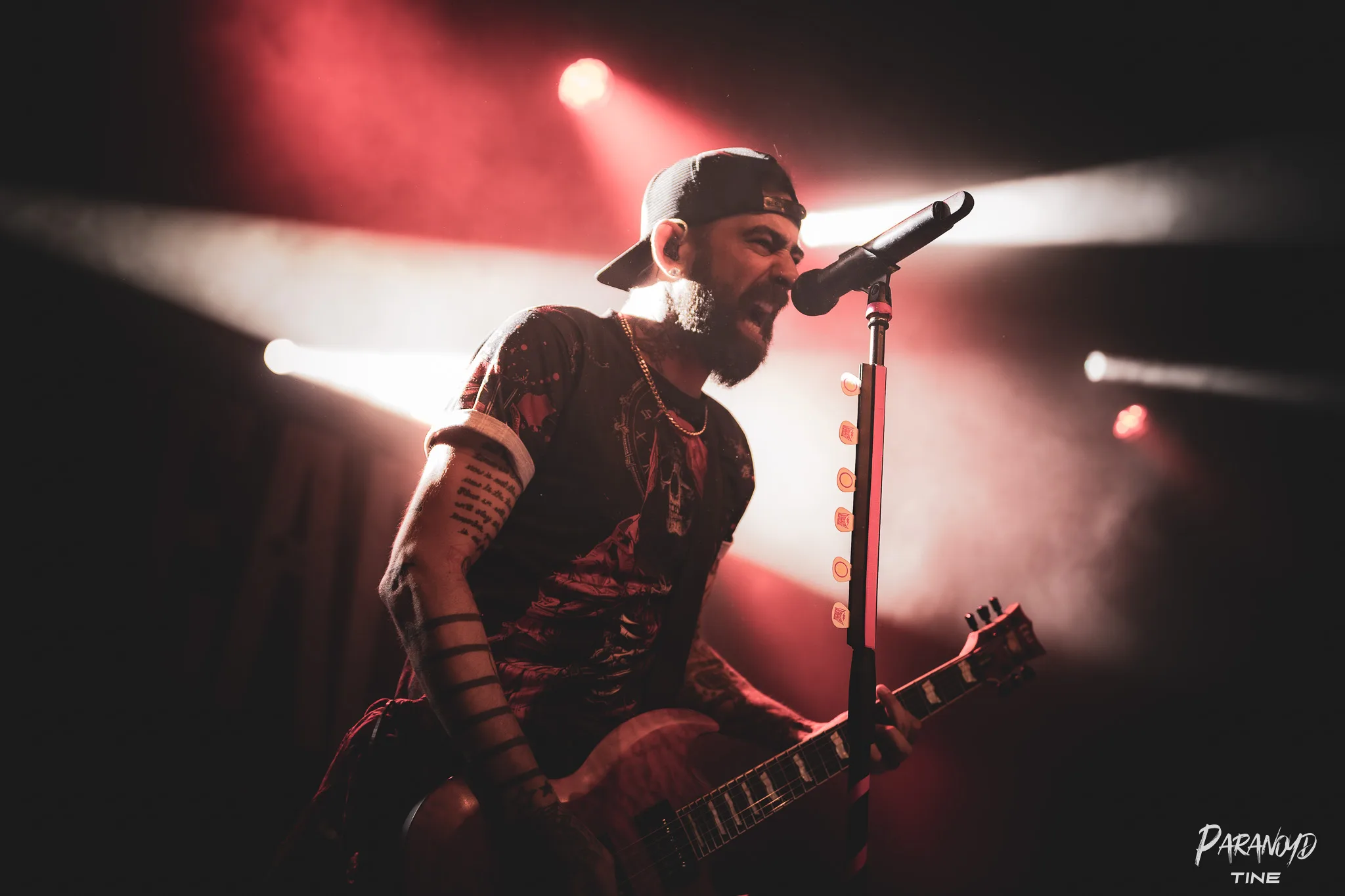Zebrahead vor begeistertem Publikum beim Konzert in Stuttgart © Tine Blessing