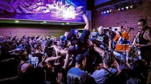 terror live