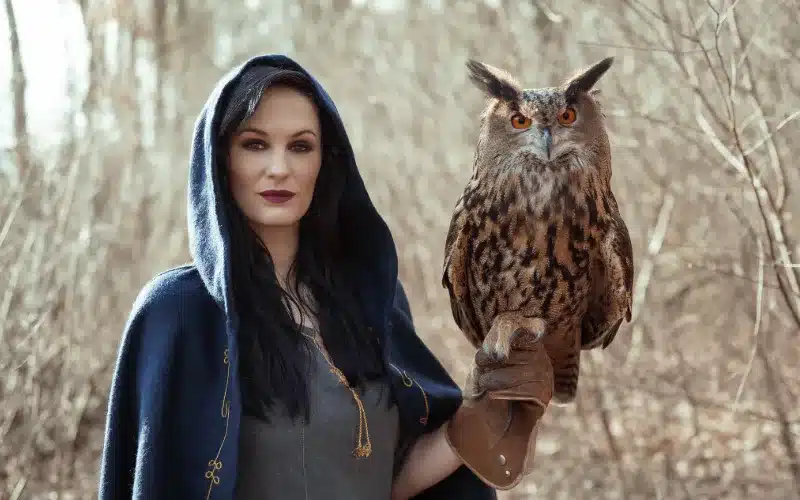 Dianne, The Elders Call