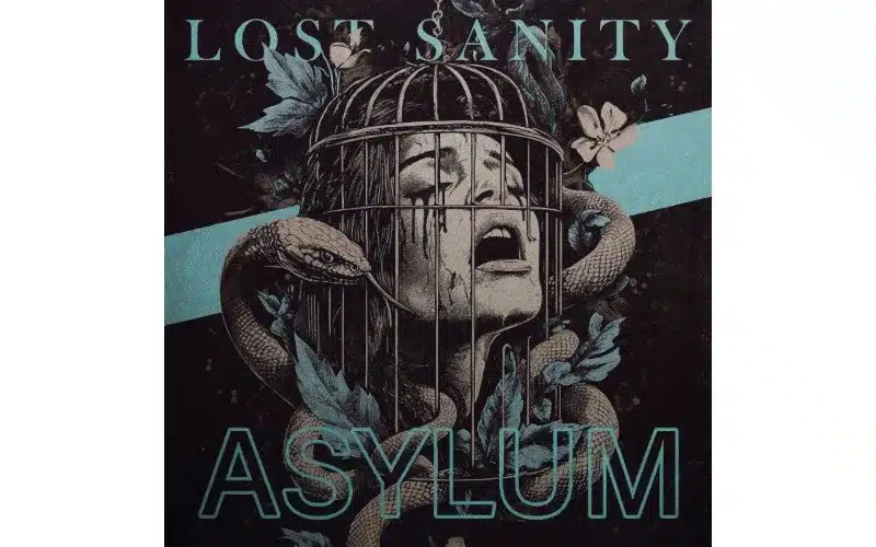 Lost Sanity, Asylum