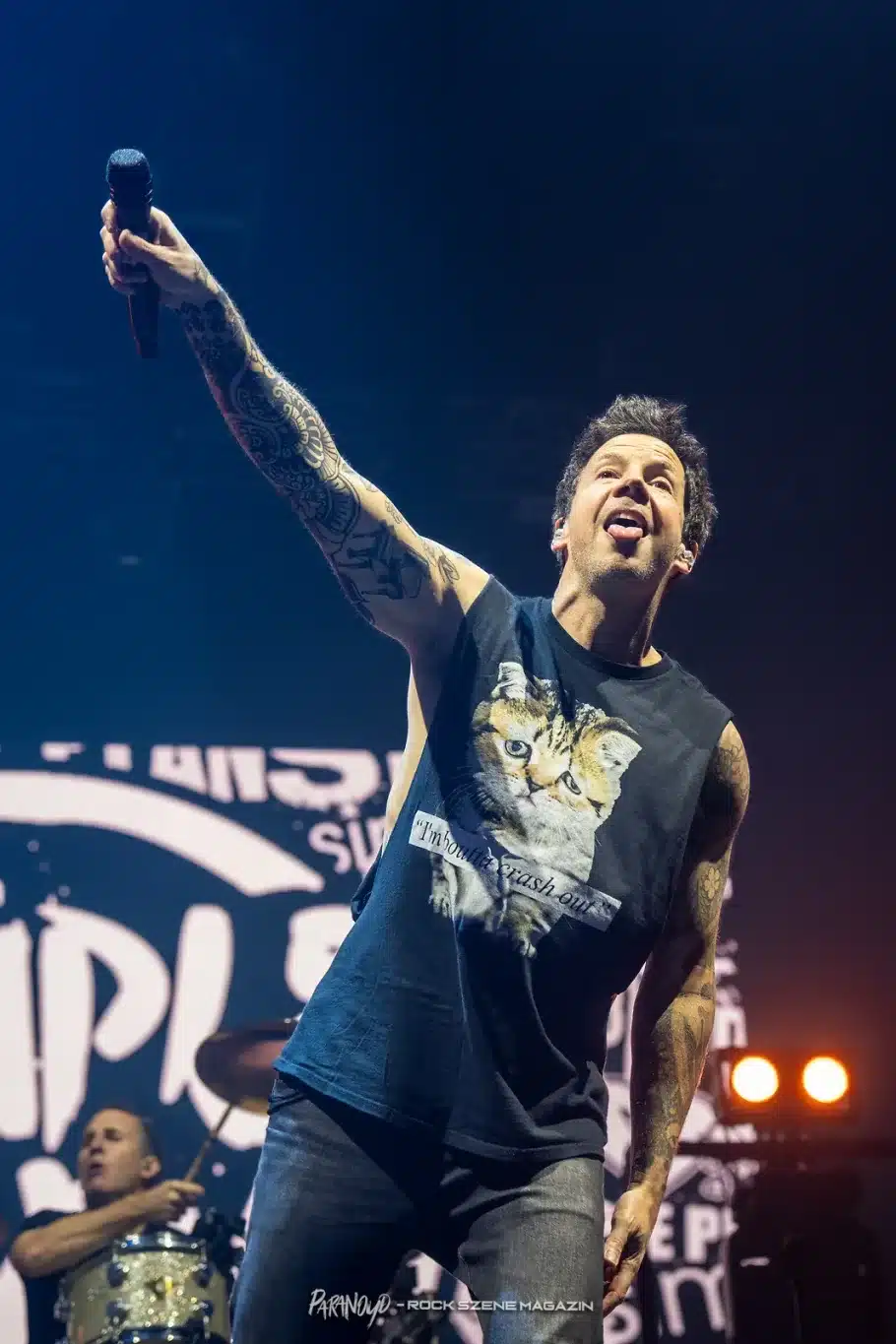 Simple Plan Frankfurt Festhalle 2025 credit:björn vollmuth