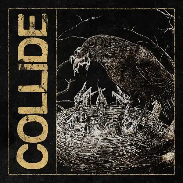 Stray View veröffentlichen neue Single Collide