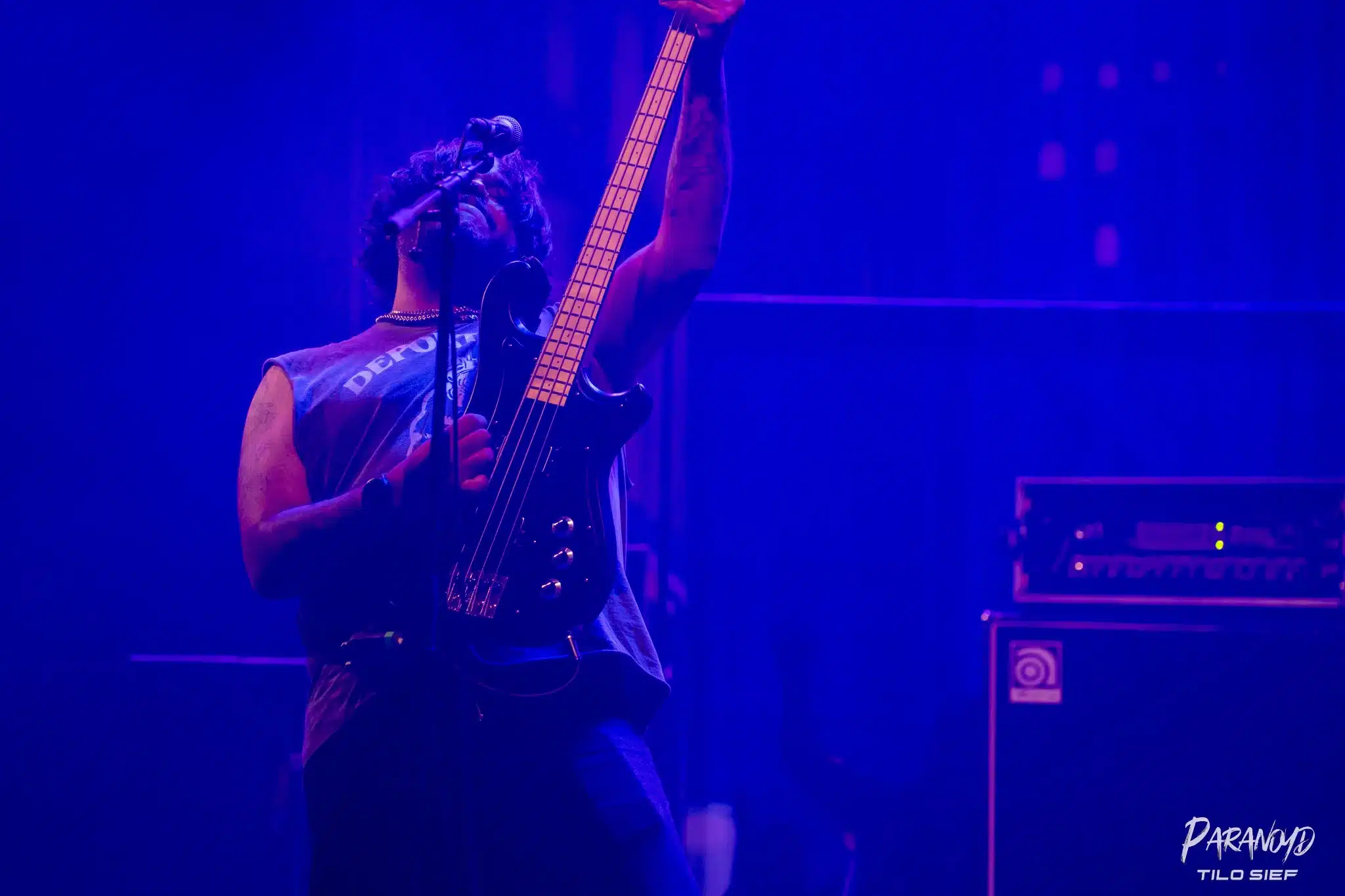 Nails im Scheinwerferlicht beim Konzert beim Konzert in Essen © Tilo Sief