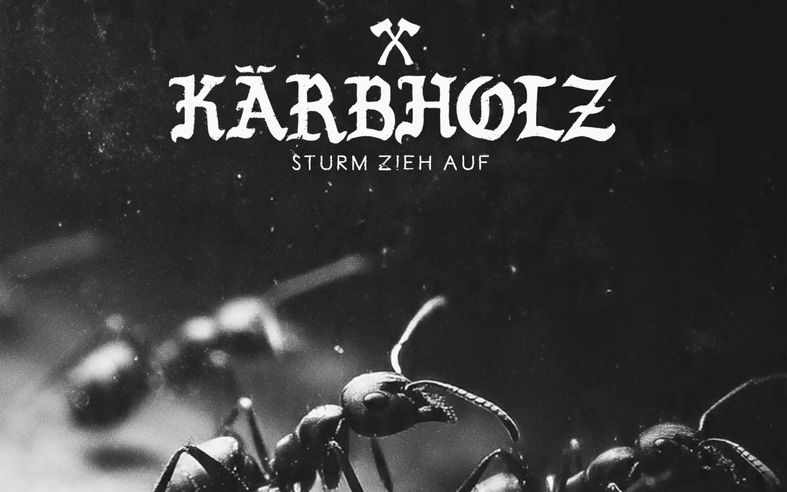 Kärbholz
